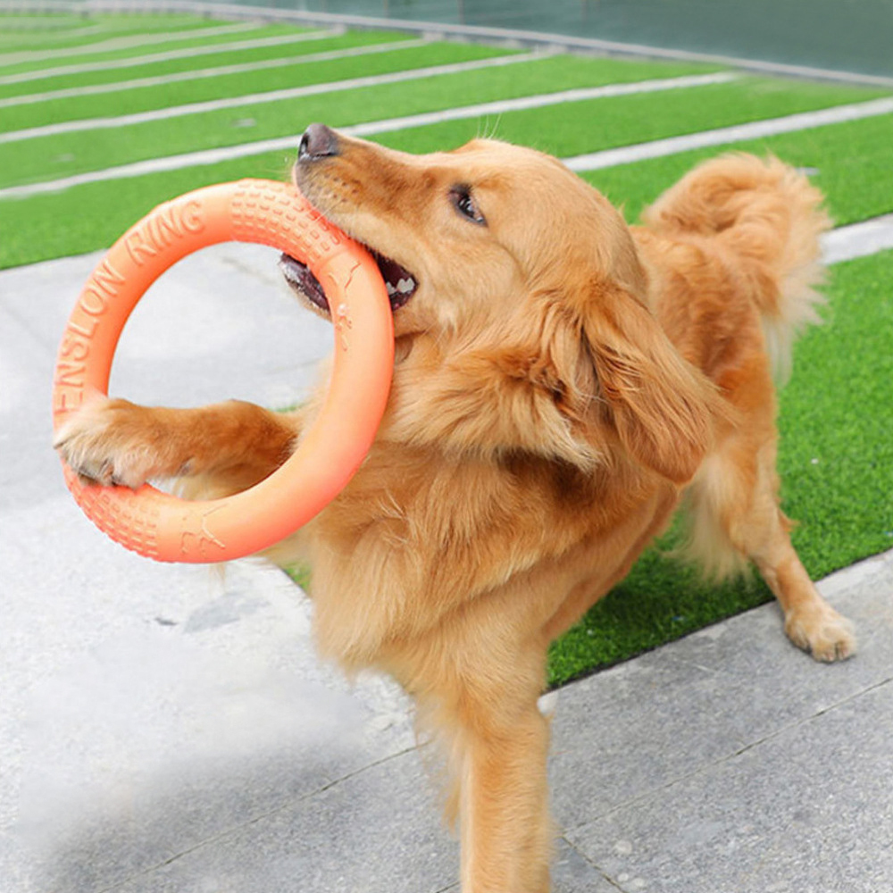 Anneau d'entraînement pour chi - Suction Cup Dog Tug Toy avis et prix