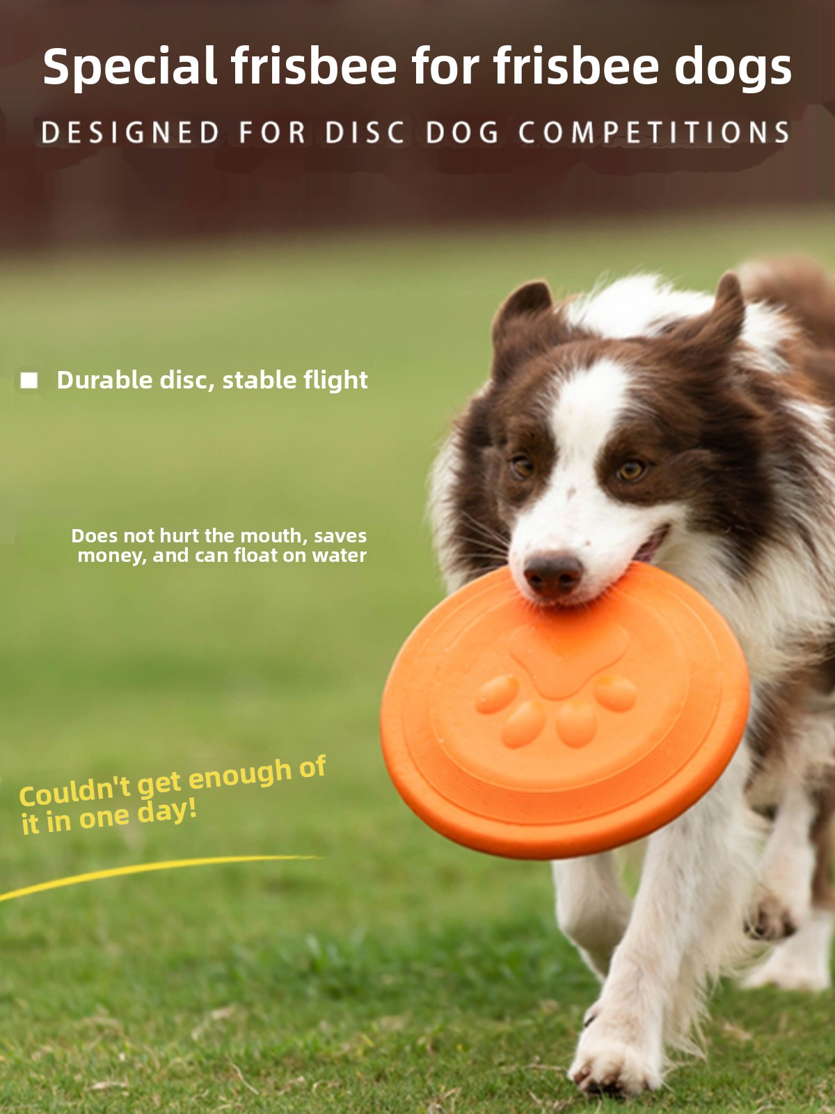 Disque volant pour chien, soup - Flying Disc Dog Training Toy avis et prix