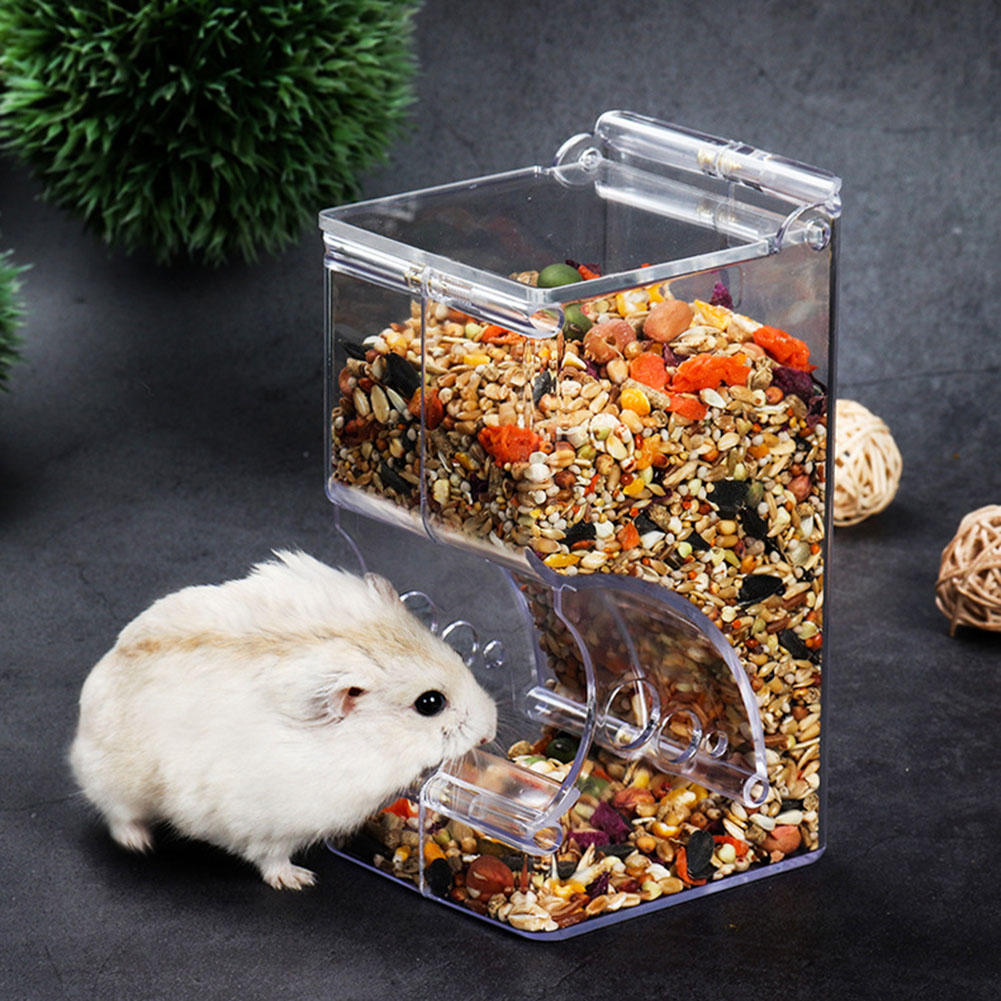    2-1 pièces mignon Hamster  - Pet Feeders avis et prix