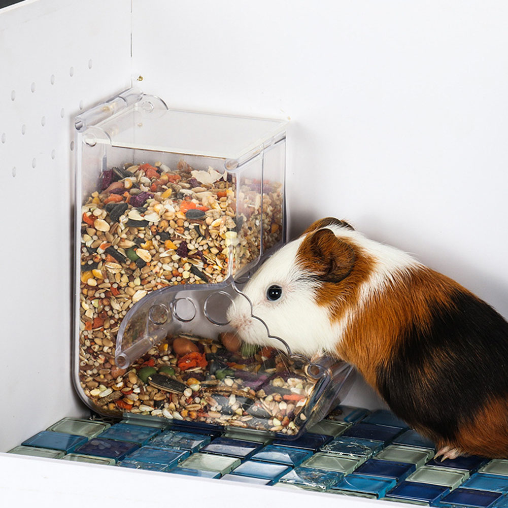    2-1 pièces mignon Hamster  - Pet Feeders avis et prix
