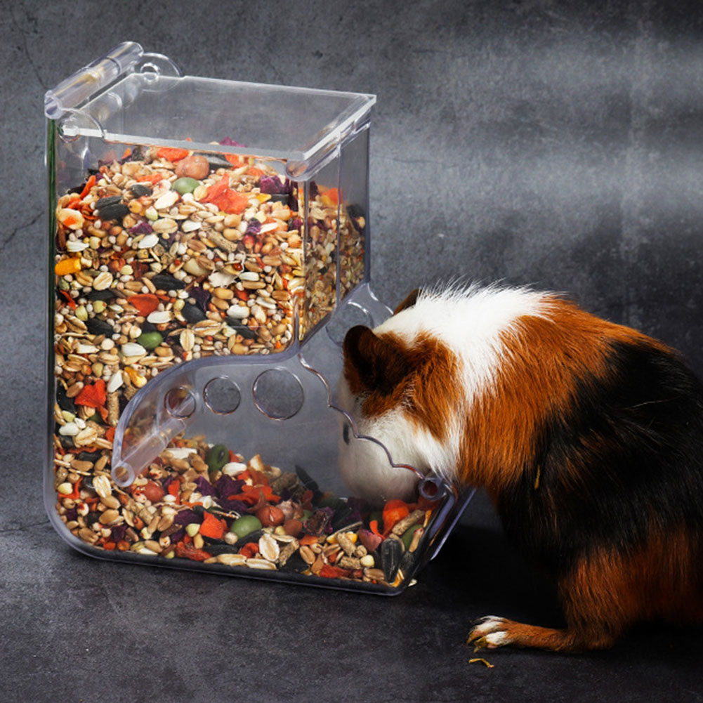    2-1 pièces mignon Hamster  - Pet Feeders avis et prix