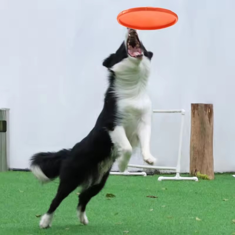 Jouet interactif en silicone p - Flying Disc Dog Training Toy avis et prix