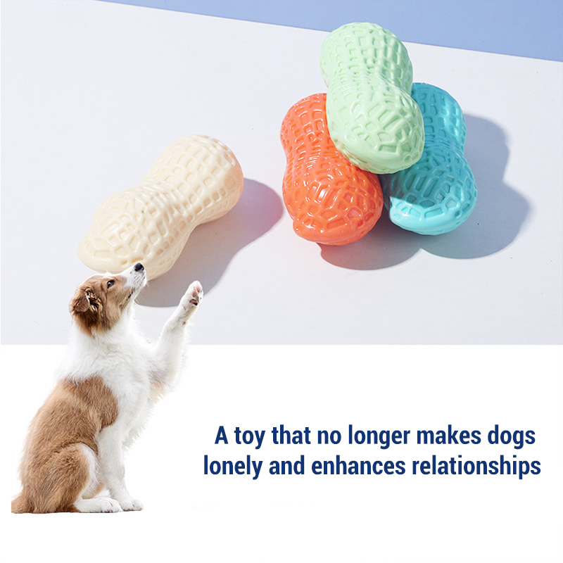 Jouets à mâcher pour chien en  - Teeth Cleaning Dog Chew Bone avis et prix