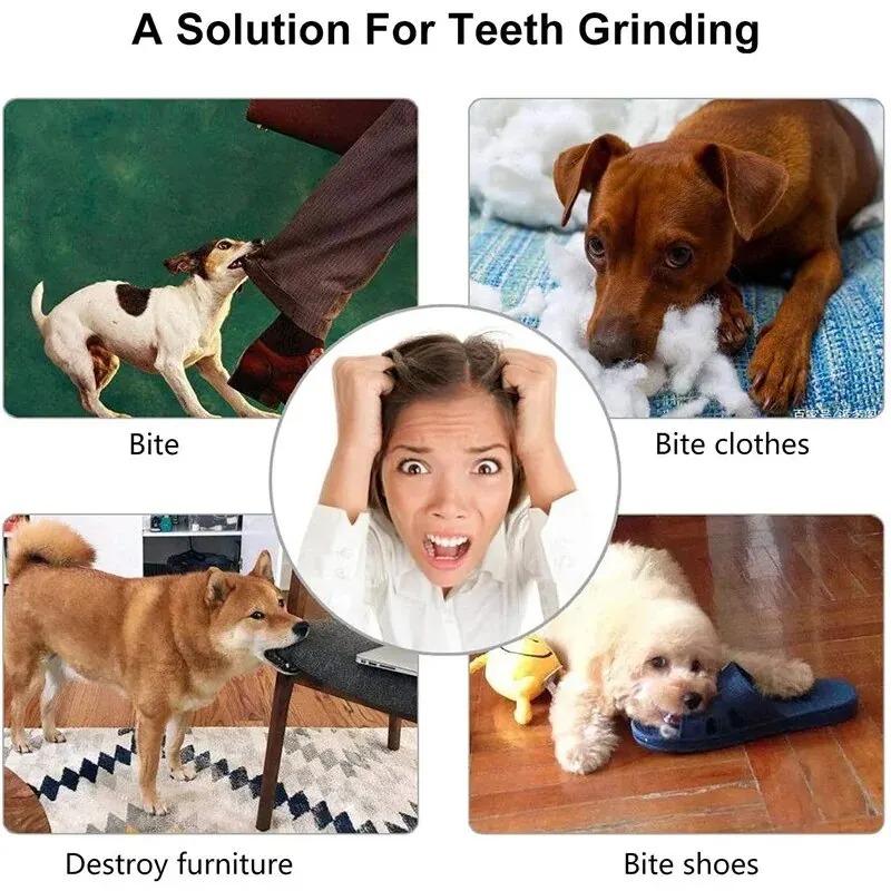 1 pièce - Balle distributrice  - Rubber Treat Dispensing Dog Toy avis et prix