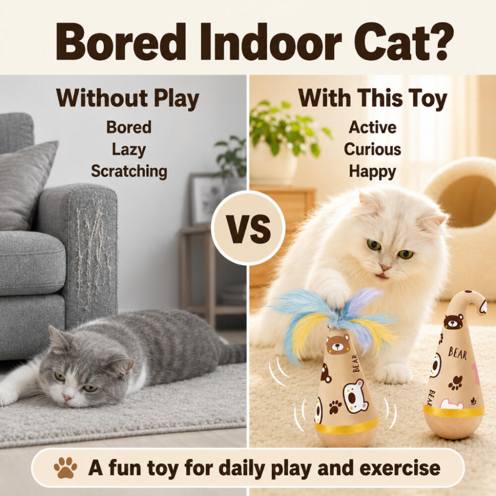 Jouet interactif pour chat en  - Snuffle Mat For Dogs avis et prix